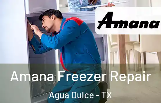  Amana Freezer Repair Agua Dulce - TX