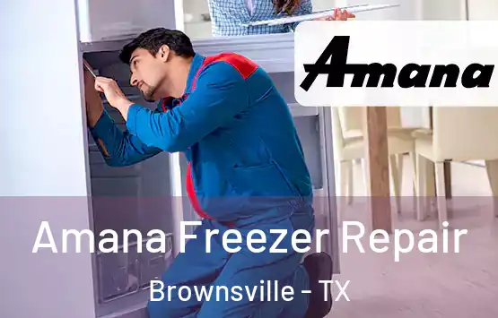  Amana Freezer Repair Brownsville - TX