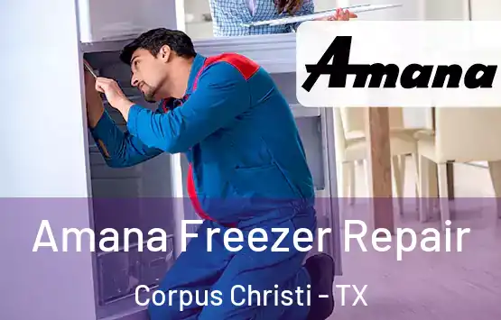  Amana Freezer Repair Corpus Christi - TX