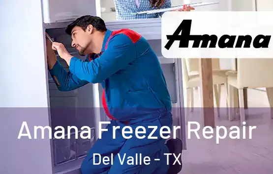  Amana Freezer Repair Del Valle - TX