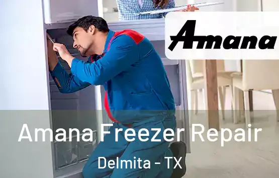  Amana Freezer Repair Delmita - TX