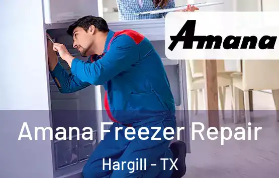  Amana Freezer Repair Hargill - TX