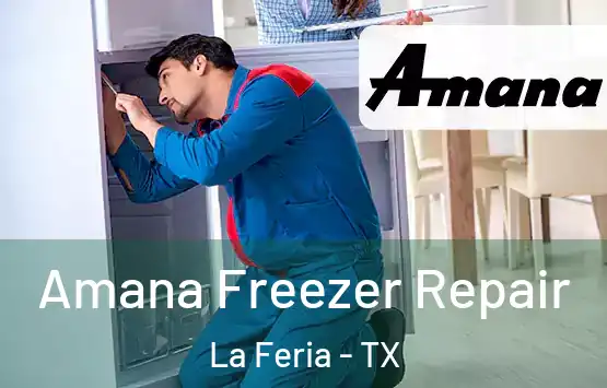  Amana Freezer Repair La Feria - TX