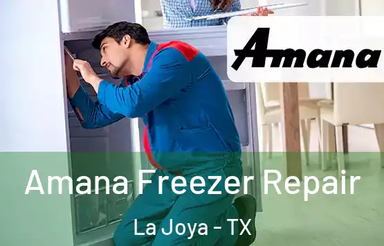 Amana Freezer Repair La Joya - TX