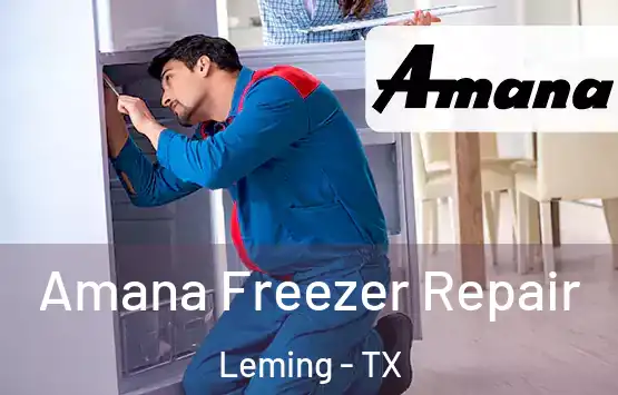  Amana Freezer Repair Leming - TX