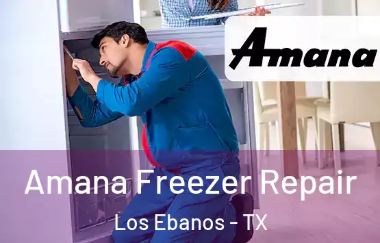  Amana Freezer Repair Los Ebanos - TX