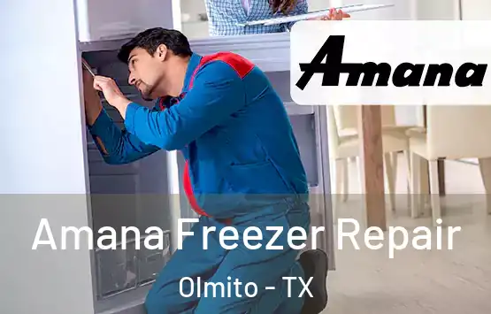  Amana Freezer Repair Olmito - TX