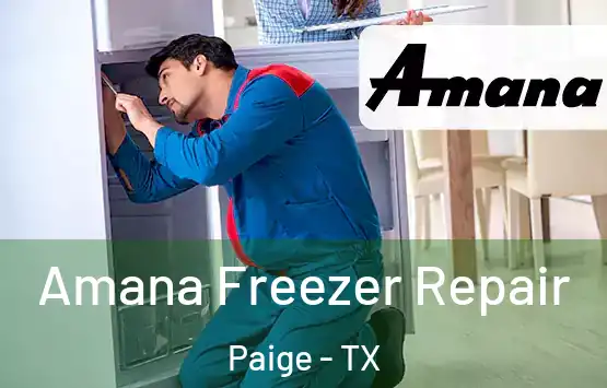  Amana Freezer Repair Paige - TX