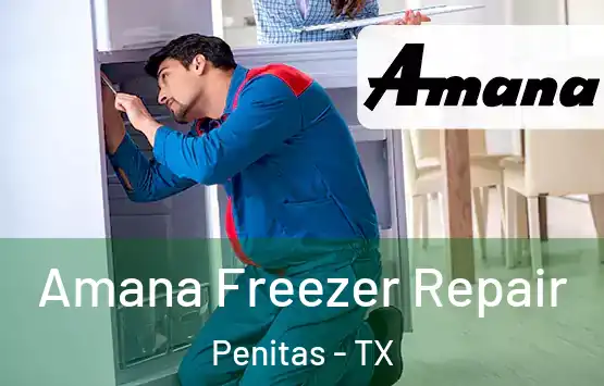 Amana Freezer Repair Penitas - TX