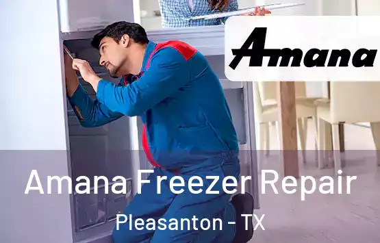  Amana Freezer Repair Pleasanton - TX