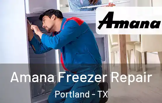  Amana Freezer Repair Portland - TX