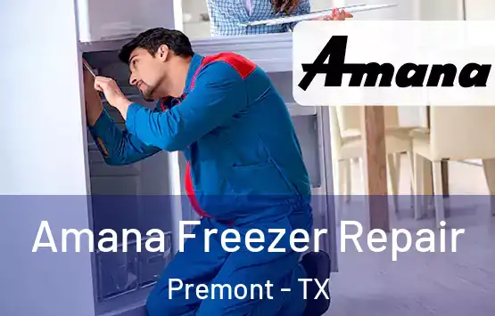  Amana Freezer Repair Premont - TX