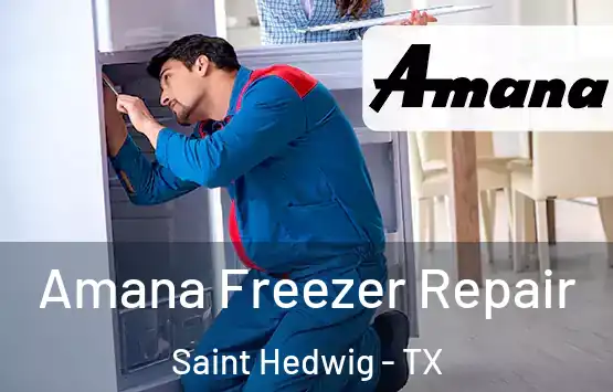 Amana Freezer Repair Saint Hedwig - TX