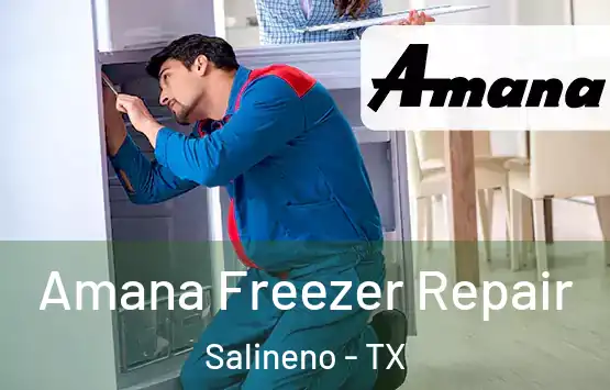 Amana Freezer Repair Salineno - TX