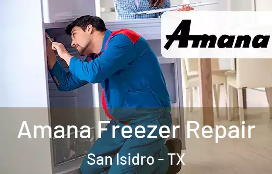  Amana Freezer Repair San Isidro - TX