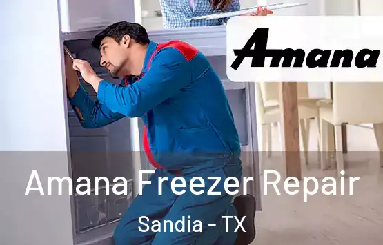  Amana Freezer Repair Sandia - TX