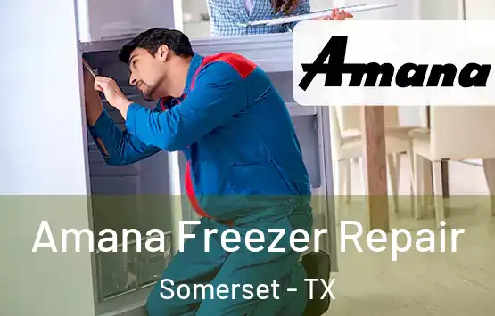  Amana Freezer Repair Somerset - TX