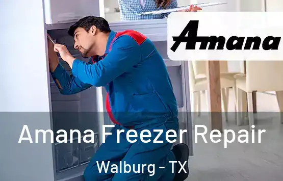  Amana Freezer Repair Walburg - TX