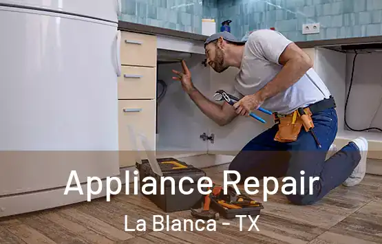  Appliance Repair La Blanca - TX