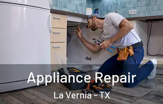  Appliance Repair La Vernia - TX