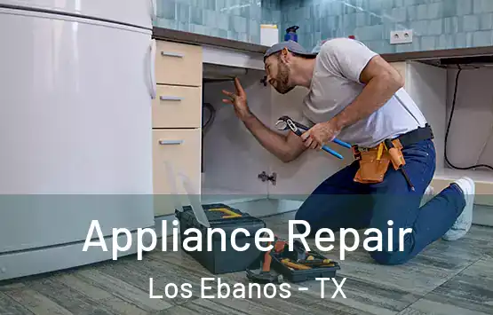  Appliance Repair Los Ebanos - TX