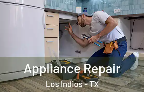  Appliance Repair Los Indios - TX