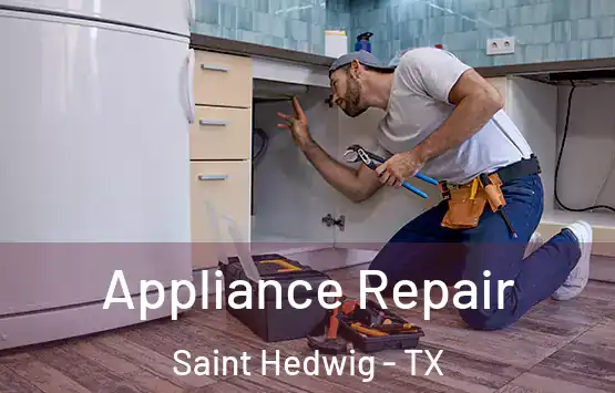  Appliance Repair Saint Hedwig - TX