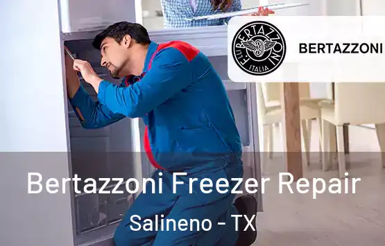  Bertazzoni Freezer Repair Salineno - TX