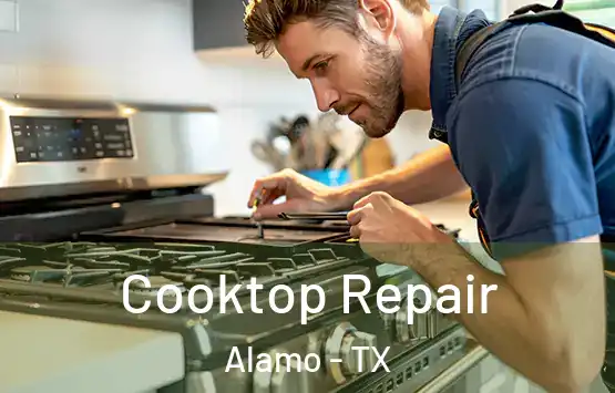  Cooktop Repair Alamo - TX