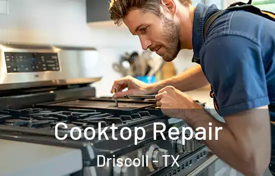  Cooktop Repair Driscoll - TX