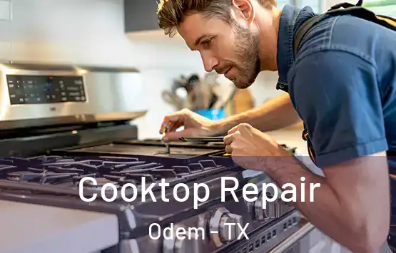  Cooktop Repair Odem - TX