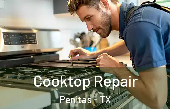  Cooktop Repair Penitas - TX