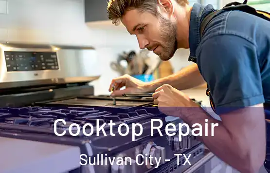 Cooktop Repair Sullivan City - TX