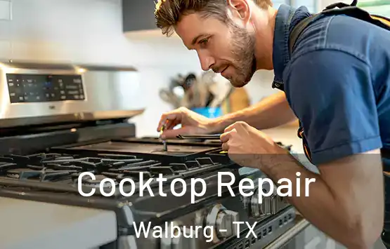  Cooktop Repair Walburg - TX