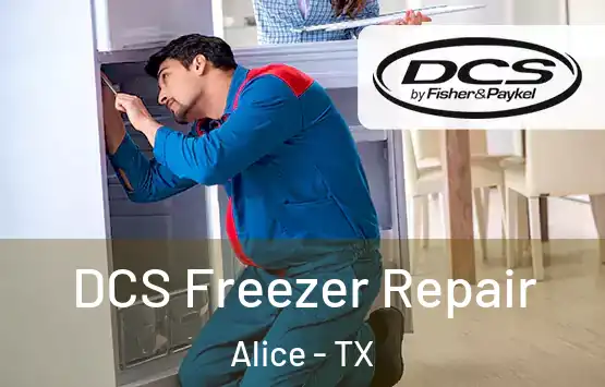  DCS Freezer Repair Alice - TX