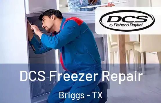  DCS Freezer Repair Briggs - TX