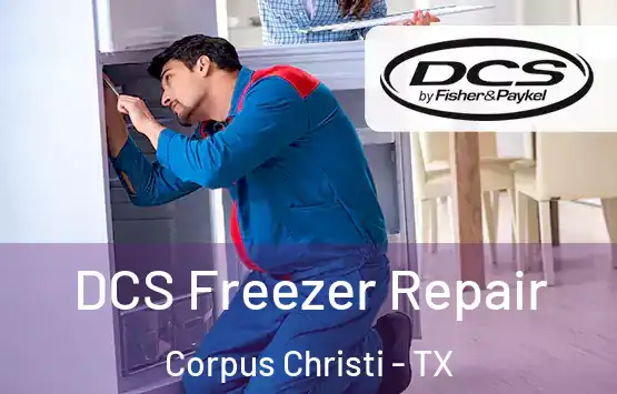  DCS Freezer Repair Corpus Christi - TX