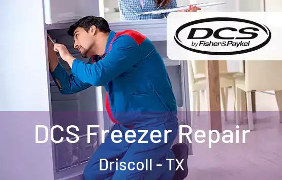  DCS Freezer Repair Driscoll - TX