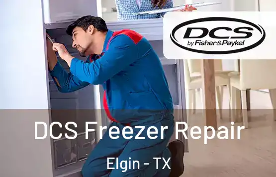  DCS Freezer Repair Elgin - TX