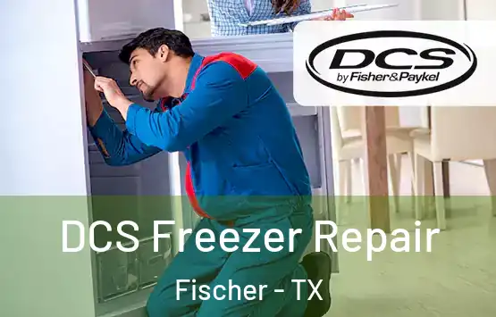  DCS Freezer Repair Fischer - TX