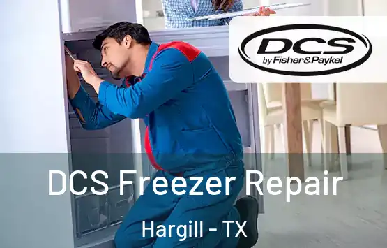  DCS Freezer Repair Hargill - TX