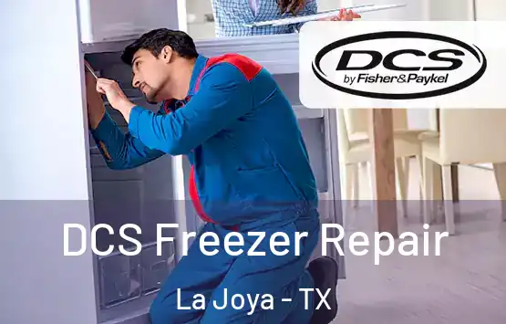  DCS Freezer Repair La Joya - TX