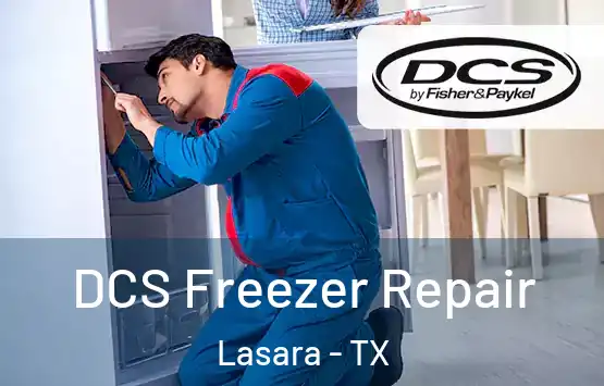  DCS Freezer Repair Lasara - TX