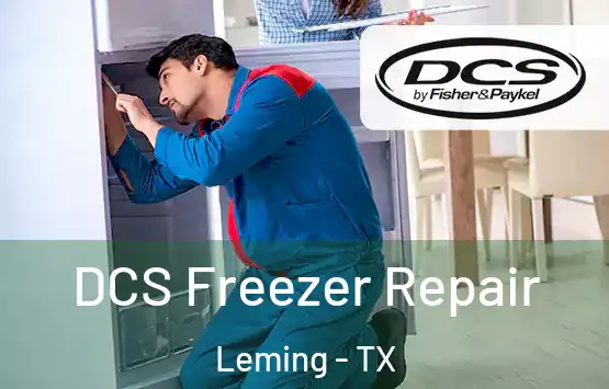  DCS Freezer Repair Leming - TX