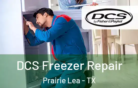  DCS Freezer Repair Prairie Lea - TX