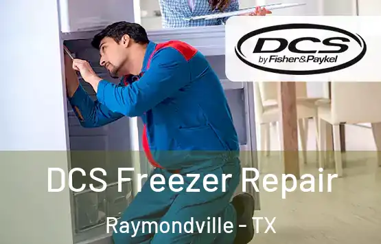  DCS Freezer Repair Raymondville - TX