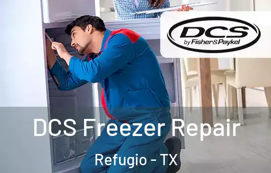  DCS Freezer Repair Refugio - TX