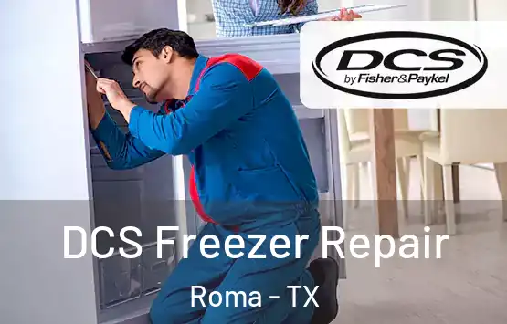  DCS Freezer Repair Roma - TX