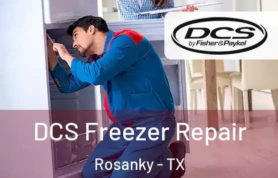  DCS Freezer Repair Rosanky - TX