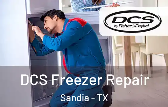  DCS Freezer Repair Sandia - TX